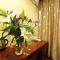 GreenTree Inn ShanDong YanTai Development Zone International Airport Shell Hotel