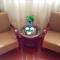 GreenTree Inn JiangSu YanCheng Bus Station Business Hotel