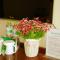 GreenTree Inn Jiangsu Taizhou Xinghua Anfeng Runan Garden Express Hotel