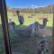 Valley Farm Vineyard Villas