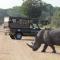 Nkambeni Safari Camp