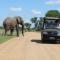Nkambeni Safari Camp