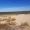 ARRETEZ VOUS A OLERON - 勒沙托多莱龙
