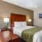 Comfort Inn Bishop