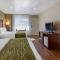 Comfort Inn Bishop