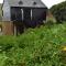 Watercress Barns