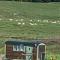 Lizzie off grid Shepherds Hut The Buteland Stop - 贝灵汉姆