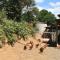 farm situated next to the Kellerwald national park - باد فيلدونجين