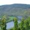 Apartment in Zell near Mosel River & Vineyards