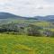 Garden view Villa in Medebach K stelberg - Medebach