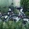 5 Lasserre photo 14