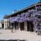 Les Barelles photo 20