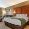 Comfort Inn & Suites Orangeburg