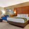 Comfort Inn & Suites Orangeburg