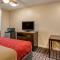 Econo Lodge Inn & Suites - Granite City