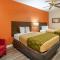 Econo Lodge Inn & Suites - Granite City