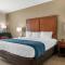 Comfort Inn & Suites Tavares North - Tavares