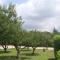 Les Jardins du Golf photo 14
