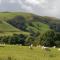 Pant Glas Barn - Llanbrynmair