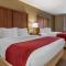 Comfort Inn & Suites Russellville I-40 - Расселвілль