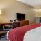 Comfort Inn & Suites Russellville I-40 - Расселвілль