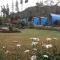 Bromo Camp House