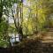 Cottage in the heart of the Ardennes woods - Harre