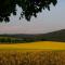 Holiday home near ski area - Rechenberg-Bienenmühle