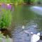 Holiday farm situated next to the Kellerwald Edersee national pa