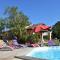 Luxury house in Aquitaine with swimming pool - Saint-Avit-Rivière