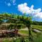 Vacation home in Chianti with pool