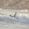 GOLVEN Surf