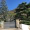 Buxus Land photo 8
