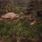 Rafiki Safari Lodge