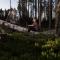 ForRest unikt designat hus mitt i skogen