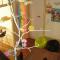 CoolHostel