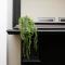 JOIVY Modern Apartment in Stockbridge - 爱丁堡
