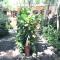 Hotel Tropical Sands Dominical