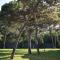 Parkofir Parkofir
