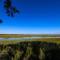 Marsh Vista