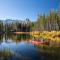 Mammoth Reservations