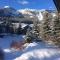 Snowcreek #890 condo - Mammoth Lakes