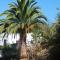 One bedroom appartement with furnished terrace and wifi at Los Silos 5 km away from the beach - Los Silos