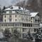 Budget Waldhotel Unspunnen - Interlaken