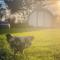 Black Knowe, Luxury Glamping Pods, Ballycastle