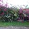 Appartement cosy au Robert 28 m² avec jardin sublime