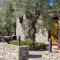 Spacious Villa with Pool - Órgiva - Mountain View