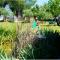 Paradise Villa in Mirandilla with Pool and Jacuzzi - Mirandilla