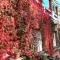 Hostal Montsoliu