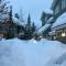 Panoramic Views from this gorgeous 2 Bed Property - Village Location - Whistler